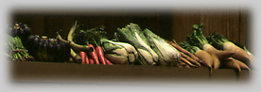 ������̖��