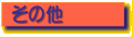 ���̑�