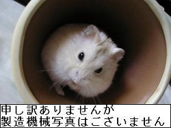 ʐ^܂B̂ŃvN摜