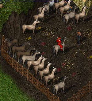 馬部隊を閲兵する Leia姫