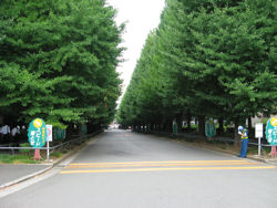 Hiyoshi where Don spent his younger days