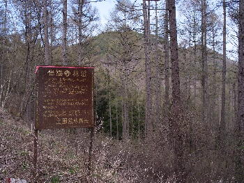貫禄のある看板