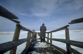 a photograph of the sculptures in winter