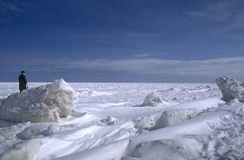 a photograph of the sculptures in winter