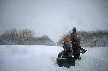 a photograph of the sculptures in winter