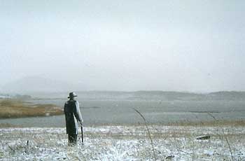 a photograph of the sculptures in winter