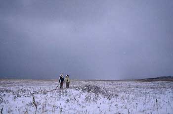 a photograph of the sculptures in winter