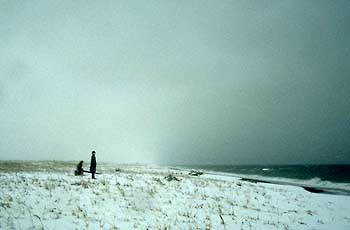 a photograph of the sculptures in winter
