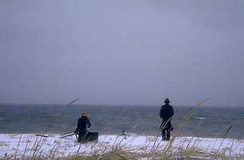 a photograph of the sculptures in winter