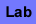 Lab