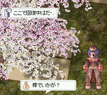 tFC̍