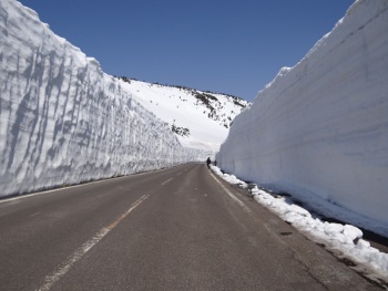 八幡平山頂付近雪の回廊