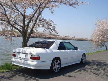 under the cherry tree