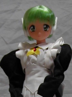 multi_doll01.jpg