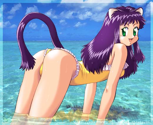 beachcat2000.jpg