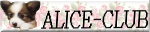 LINKBANNER