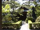 妙心寺