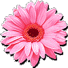 iǏҁj|n`