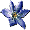 ЂƂ茾EEEEiVEWj