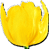 ΂