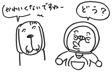 ドライラスト