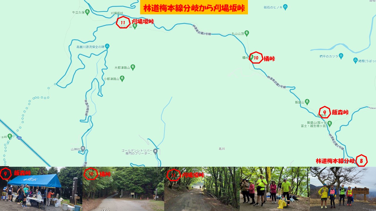 林道梅本線分岐から刈場坂峠