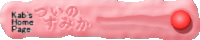 ついのすみか